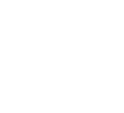 Edison Electric Institute