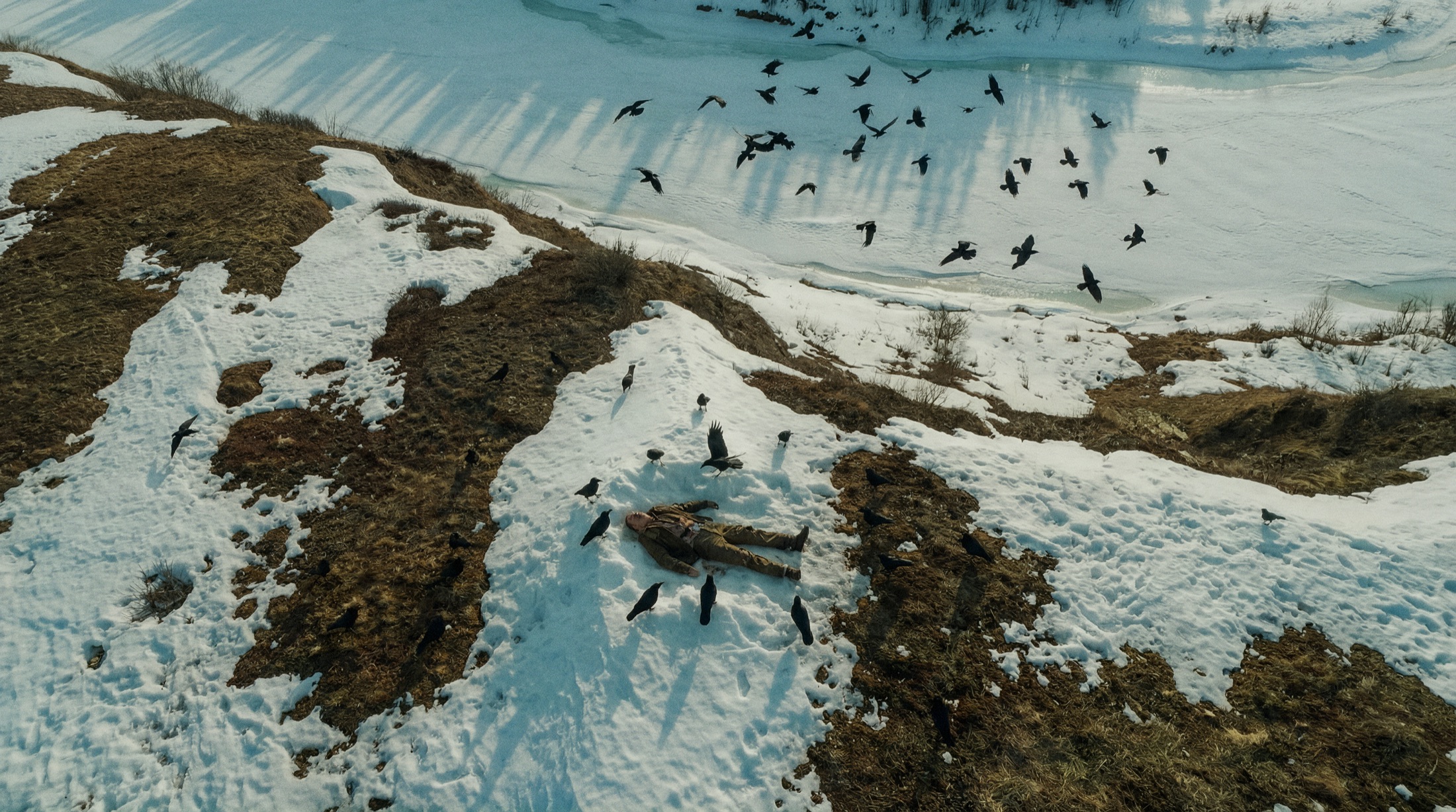 Ravens circle a body in the snow, seen from above